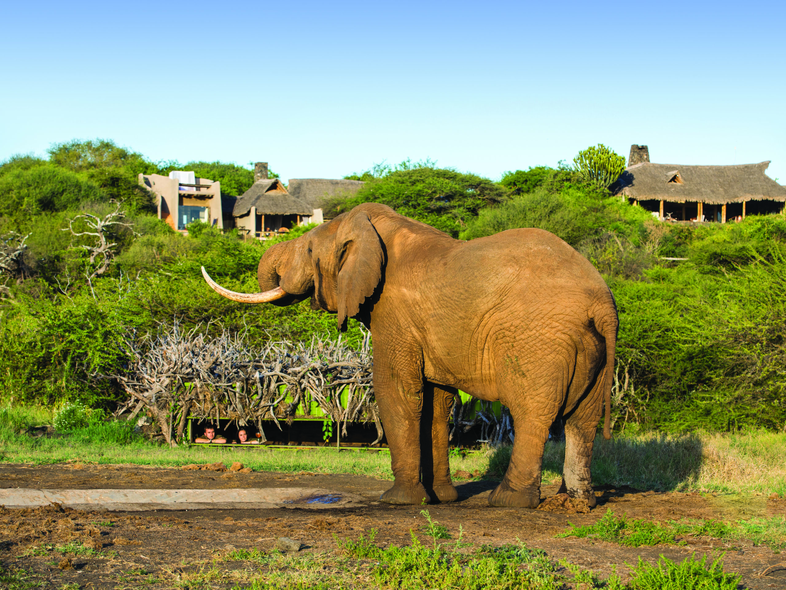 SILENT AUCTION: Kenyan Safari Stay for Two at ol Donyo Lodge, Chyulu Hills - Image 5