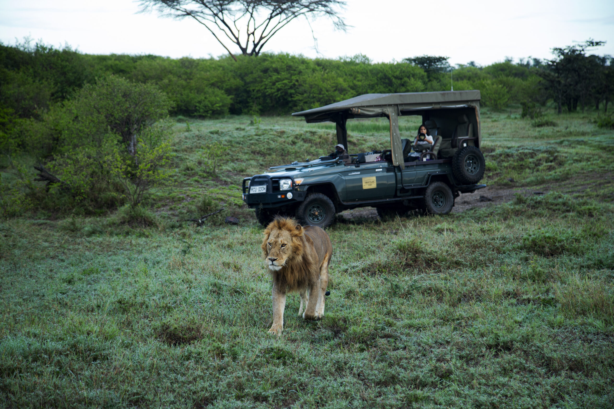 SILENT AUCTION: Kenyan Safari Stay for Two at ol Donyo Lodge, Chyulu Hills - Image 6